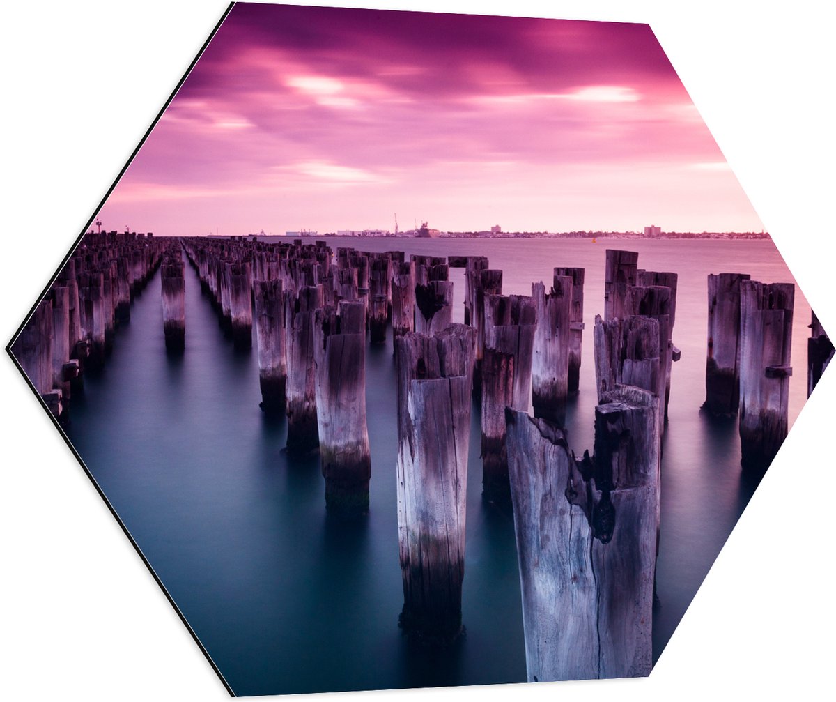 Dibond Hexagon - Palen - Water - Hout - Zee - Kleuren - 80x69.6 cm Foto op Hexagon (Met Op