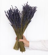 Twee bossen gedroogde Lavendel - 100 gram per bos - Super Deal - Minstens 50 takjes lavendel per bos