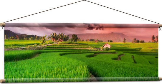 Textielposter - Roze Wolkenveld boven Bloeiende Rijstvelden - 120x40 cm Foto op Textiel