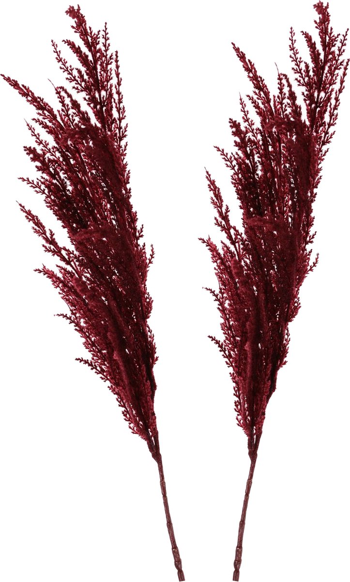 TopArt Pampasgras pluim losse steel/tak - 2x - bordeaux rood - 100 cm - Decoratie kunst bloemen/graspluimen