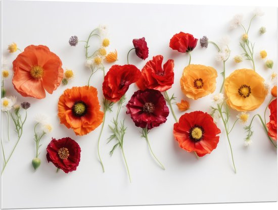 Acrylglas - Rij van Planten en Bloemen in Verschillende Kleuren en Soorten op Wit Oppervlak - 100x75 cm Foto op Acrylglas (Wanddecoratie op Acrylaat)