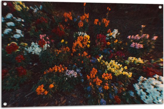 Tuinposter – Bloemen - Wazig - Natuur - Bossen - Kleuren - Bladeren - 105x70 cm Foto op Tuinposter (wanddecoratie voor buiten en binnen)