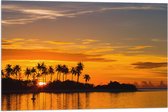 Vlag - Silhouet van Palmbomen op Eiland tijdens Felkleurige Zonsondergang - 75x50 cm Foto op Polyester Vlag