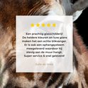 Afbeelding nummer  7