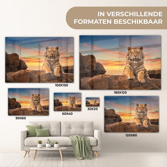MuchoWow® Peinture sur verre - Tigre - Soleil - Rochers - 180x120 cm - Peintures sur verre acrylique - Photo sur Glas