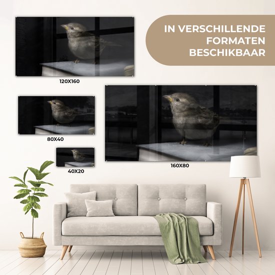 MuchoWow® Glasschilderij 120x60 cm - Schilderij acrylglas - Vogel - Boeken - Portret - Foto op glas - Schilderijen