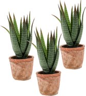 Set van 3x stuks Aloe Vera kunstplant in terracotta pot 23 cm - Aloe Barbadensis - Woondecoratie/accessoires - Kunstplanten - Nepplanten - Aloe vera planten in pot
