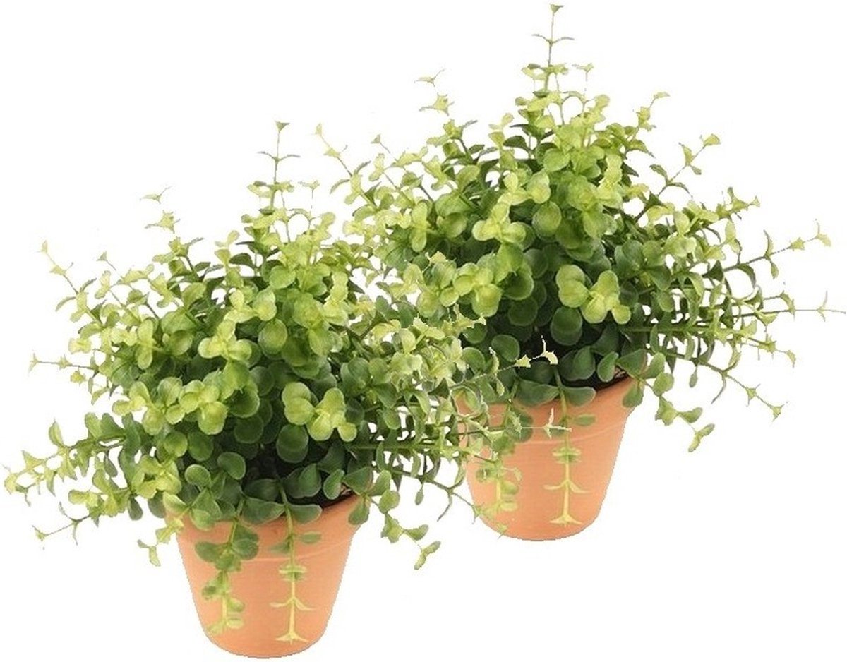 Bellatio Flowers & Plants 2x Kunstplant eucalyptus groen in pot 20 cm - Kamerplant groene eucalyptus