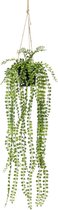 Groene Ficus Pumila kunstplant 60 cm in hangende pot - Kunstplanten/nepplanten