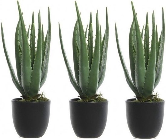 3x Groene aloe vera kunstplant 35 cm in zwarte pot - Kunstplanten/nepplanten - Succulenten - Kantoorplanten