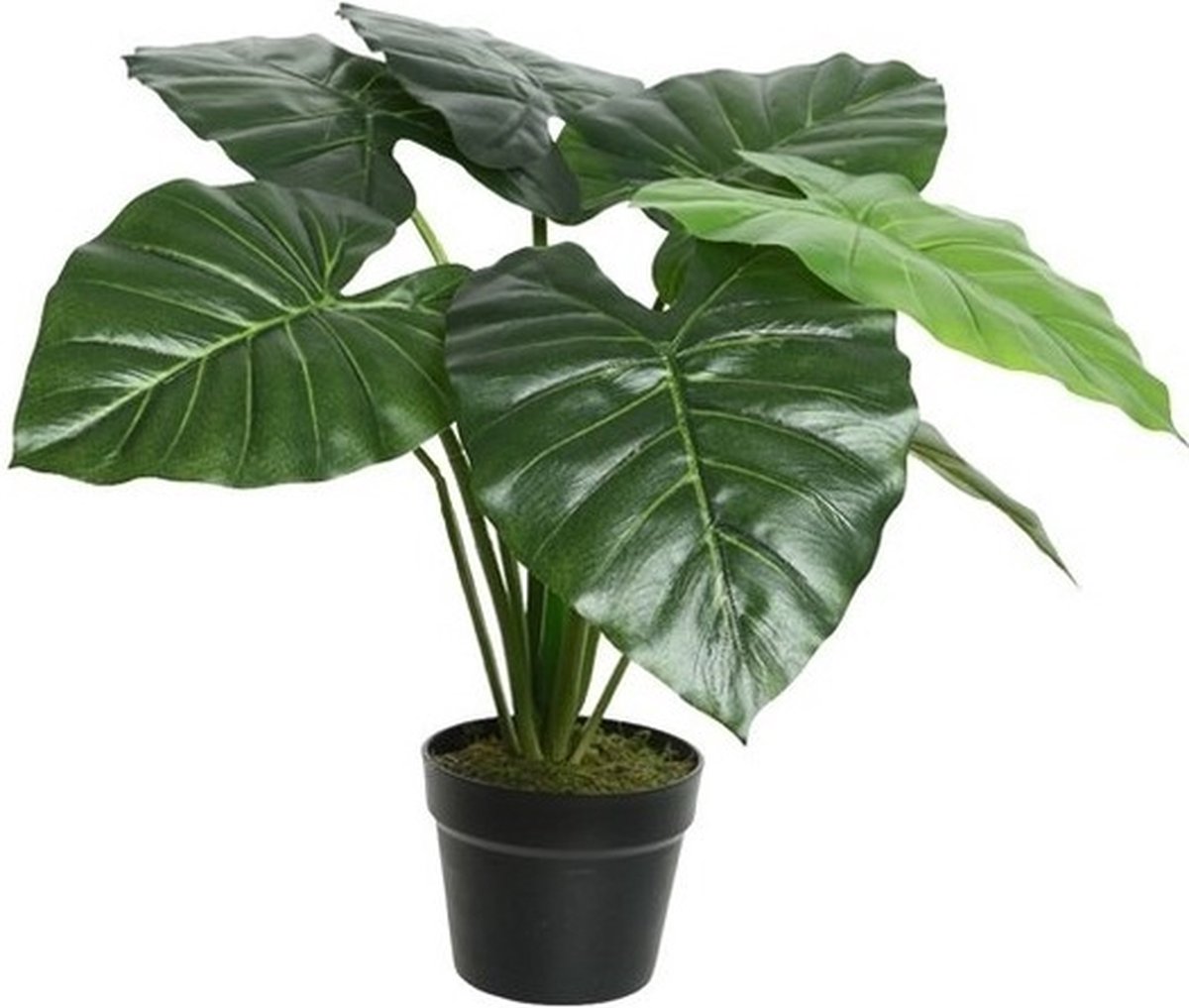 Plante artificielle Colocasia - Meubles Crack