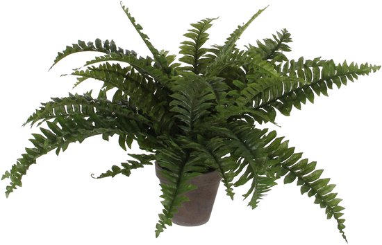 Mica Decorations Varen kunstplant - groen - in terracotta pot - H42 cm - nep plant - Kunstplanten/nepplanten