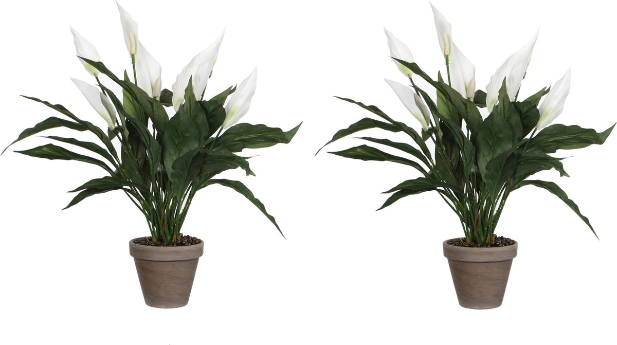Mica Decorations Kunstplant - 2x stuks - spathiphyllum lepelplant - wit - H50 x D40 cm