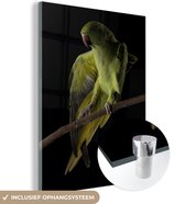 MuchoWow® Glasschilderij 90x120 cm - Schilderij acrylglas - Papegaai - Vogel - Tak - Foto op glas - Schilderijen