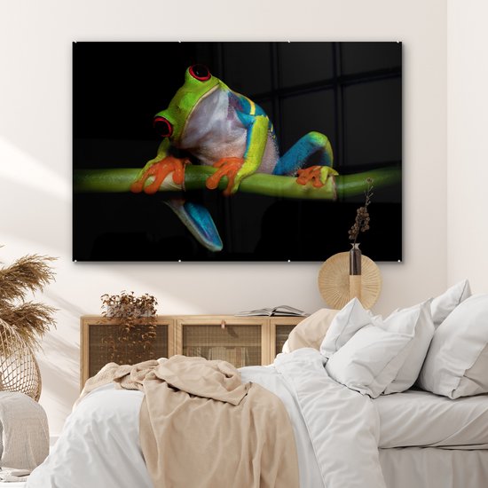 Peinture sur verre - Grenouille - Animaux - Vert - Oranje - Rouge - Photo sur verre - Peinture sur verre - 180x120 cm - Décoration murale