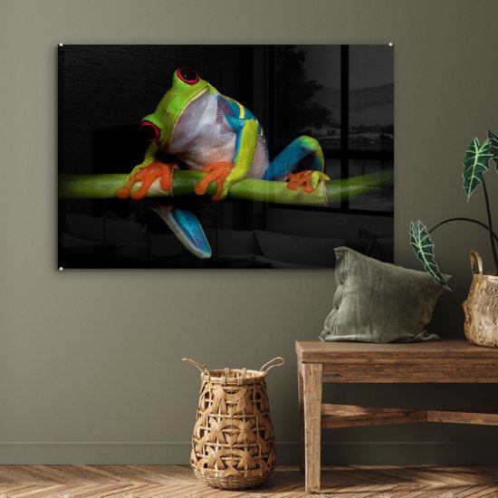 Peinture sur verre - Grenouille - Animaux - Vert - Oranje - Rouge - Photo sur verre - Peinture sur verre - 120x80 cm - Décoration murale