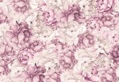 Fotobehang - Vlies Behang - Roze Vintage Pioenrozen - Bloemen - 312 x 219 cm