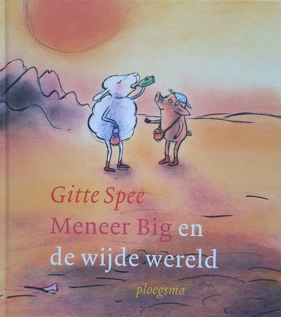 Cover van het boek 'Meneer Big en de wijde wereld'