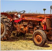 Acrylglas - Oude Verroeste Rode Tractor in het Weiland - 50x50 cm Foto op Acrylglas (Met Ophangsysteem)