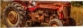 Acrylglas - Oude Verroeste Rode Tractor in het Weiland - 150x50 cm Foto op Acrylglas (Met Ophangsysteem)