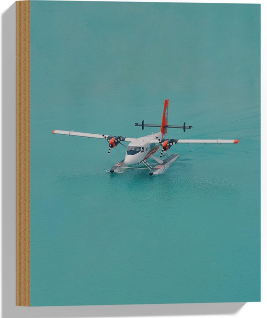 Hout - Stuntvliegtuig Dobberend op het Water - 30x40 cm - 9 mm dik - Foto op Hout (Met Ophangsysteem)