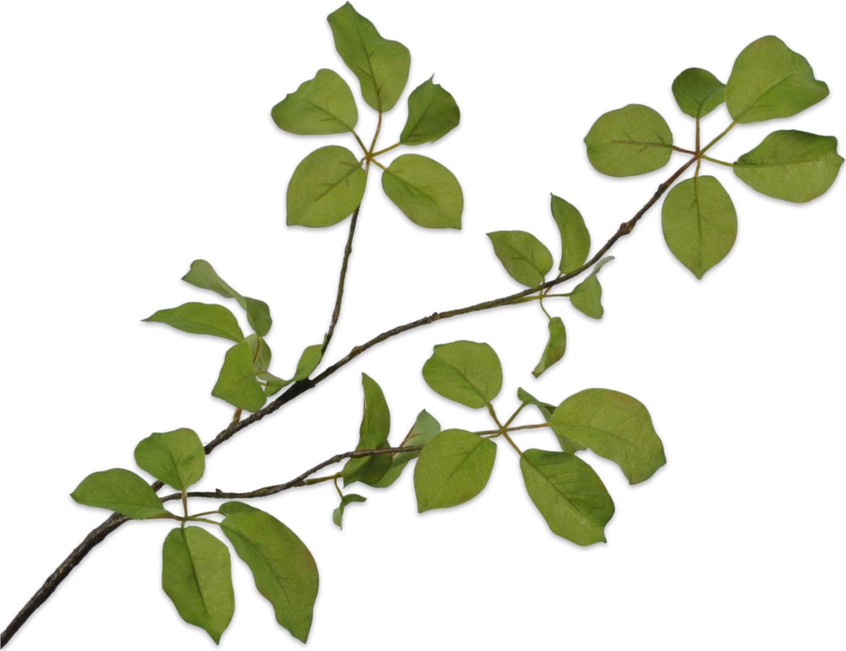 Silk-ka Kunstbloem-Zijden Bloemen Bladtak Groen 91 cm