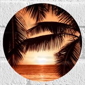 Muursticker Cirkel - Bomen - Palmbomen - Zee - Zonsondergang - Oranje - 20x20 cm Foto op Muursticker