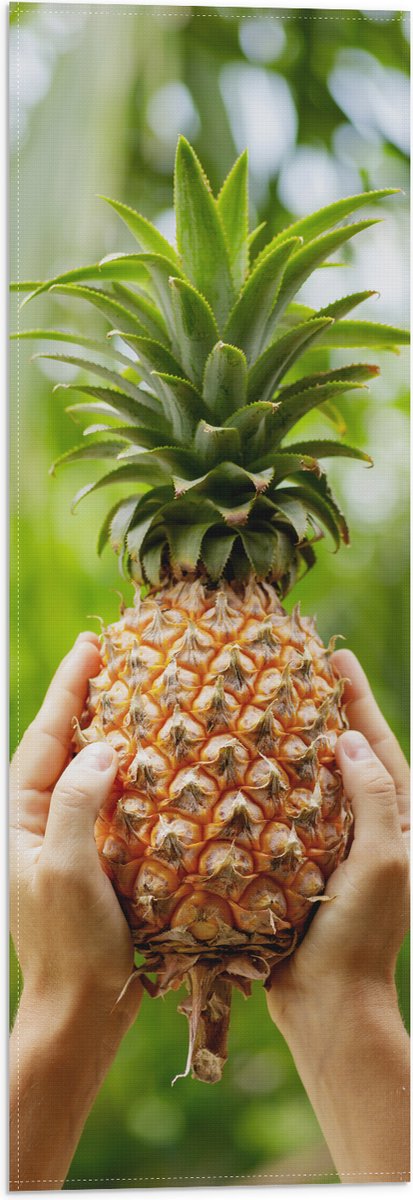 Vlag - Verse tropische Ananas in Mensenhanden - 20x60 cm Foto op Polyester Vlag