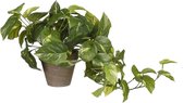 Mica Decorations Pothos Kunstplant - 17x17x44 cm - Groen