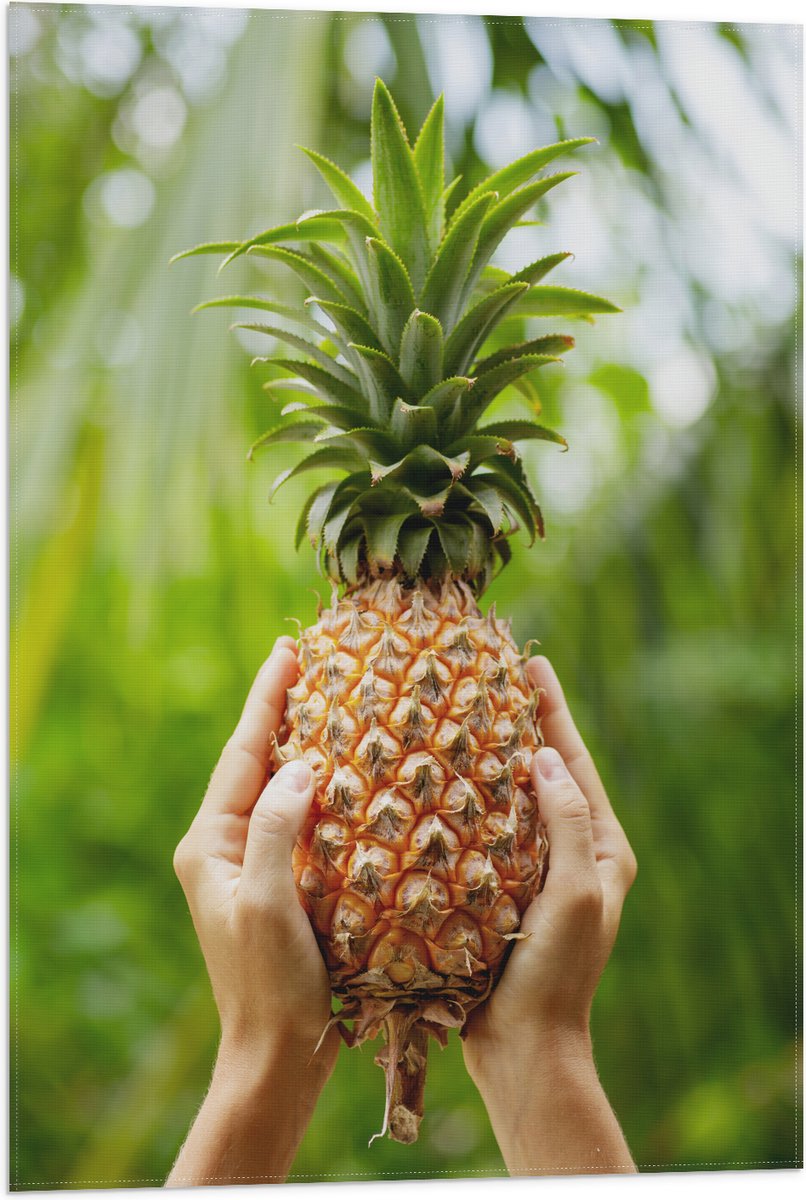 Vlag - Verse tropische Ananas in Mensenhanden - 50x75 cm Foto op Polyester Vlag
