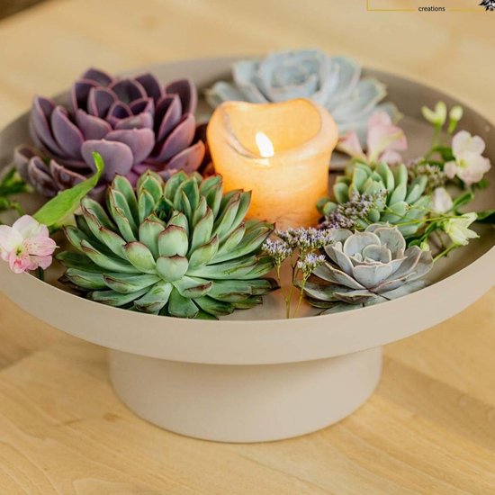 ZynesFlora Mini Succulenten Mix in 5,5 cm Plantenpot - 9 Stuks