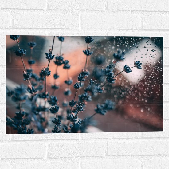 Muursticker - Bloemen - Planten - Raam - Druppels - Takken - Blauw - 60x40 cm Foto op Muursticker