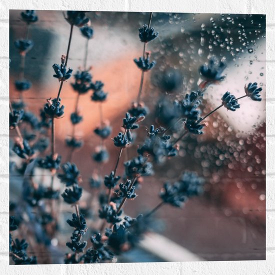 Muursticker - Bloemen - Planten - Raam - Druppels - Takken - Blauw - 50x50 cm Foto op Muursticker