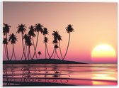 PVC Schuimplaat - Silhouet van Bomen op Eiland bij Ondergaande Zon - 40x30 cm Foto op PVC Schuimplaat (Met Ophangsysteem)