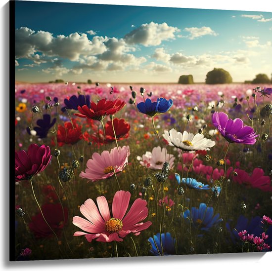 Canvas - Schapenwolken boven Veld Vol met Bloemen in Verschillende Kleuren - 100x100 cm Foto op Canvas Schilderij (Wanddecoratie op Canvas)