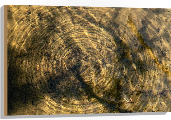 Hout - Vies Water met Regendruppels - 90x60 cm - 9 mm dik - Foto op Hout (Met Ophangsysteem)