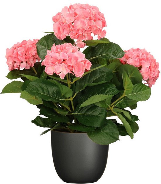 Hortensia kunstplant/kunstbloemen 45 cm - roze - in pot zwart mat - Kunst kamerplant