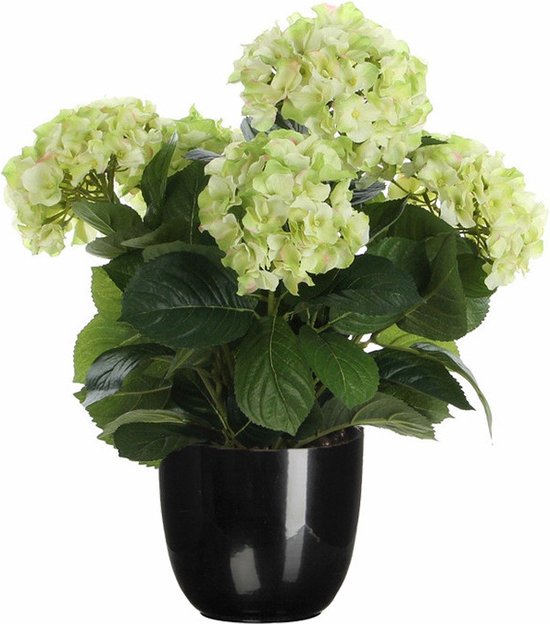 Hortensia kunstplant/kunstbloemen 45 cm - groen - in pot zwart glans - Kunst kamerplant