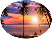 Dibond Ovaal - Zonsondergang in de Zee bij Hoge Palmbomen - 108x81 cm Foto op Ovaal (Met Ophangsysteem)