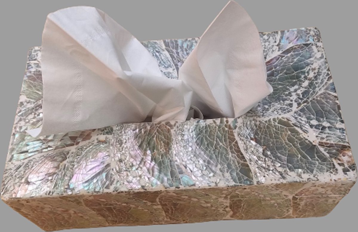 Goedkoopste tissue box tissue houder zakdoekhouder tissuebox schelpen box