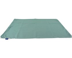 Waszak 60x60 cm - Met K-locksluiting - Groen