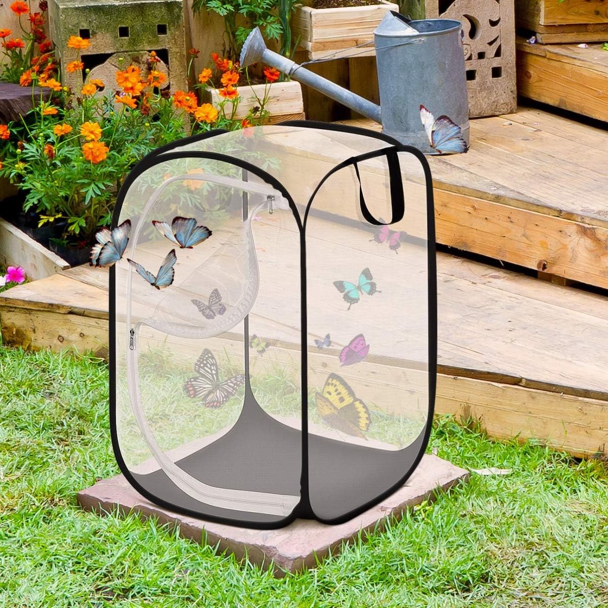 Vlinder Habitat Kooi Met PVC Observatiehoezen, Draagbare Aan De Muur Gemonteerde Lichtdoorlatende Terrarium Insecten Vlinder Mesh Net Voor Kinderen Opheffen Insecten 37x37x22cm