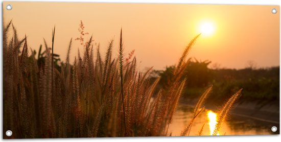 Tuinposter – Zonsondergang bij Grassen in het Weiland - 100x50 cm Foto op Tuinposter (wanddecoratie voor buiten en binnen)