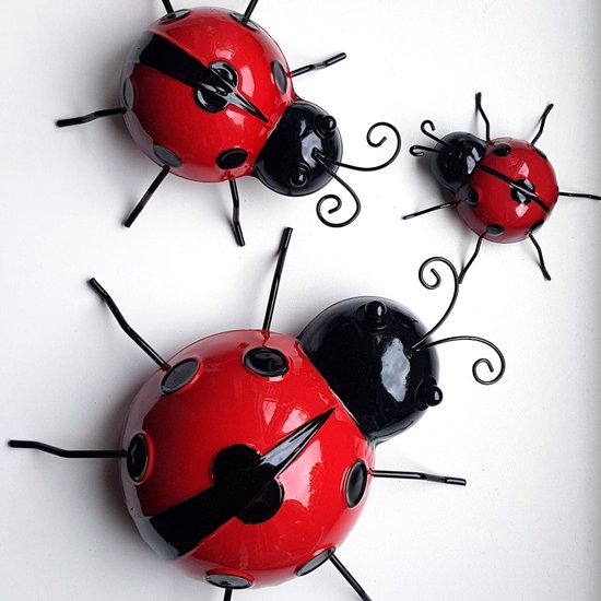 Lot familial coccinelle