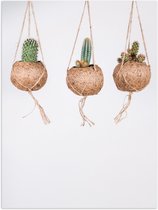 Poster Glanzend – Planten - Cactussen - Bloempotten - Hangen - Groen - Bruin - Wit - 75x100 cm Foto op Posterpapier met Glanzende Afwerking