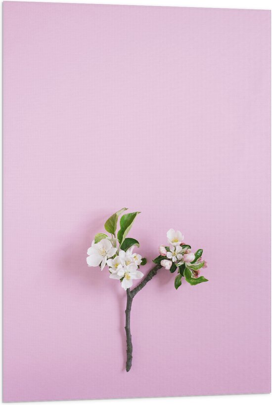 Belle Vous Blankew Kurk Vellen (12 Pak) 27,8 x 21,4cm, 2mm Dik – A4 Kurkpapier Voor Pinnetjes en Aanplakbord Vervanging, Muur Decoratie, DIY Hobby Projecten en Keuken Pads Belle Vous Blankew Kurk Vellen (12 Pak) 27,8 x 21,4cm, 2mm Dik – A4 Kurkpapier Voor Pinnetjes en Aanplakbord Vervanging, Muur Decoratie, DIY Hobby Projecten en Keuken Pads