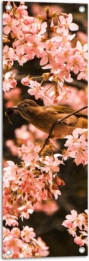 Tuinposter – Bloemen - Planten - Dieren - Vogel - Roze - 30x90 cm Foto op Tuinposter (wanddecoratie voor buiten en binnen)