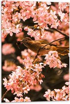 Tuinposter – Bloemen - Planten - Dieren - Vogel - Roze - 60x90 cm Foto op Tuinposter (wanddecoratie voor buiten en binnen)