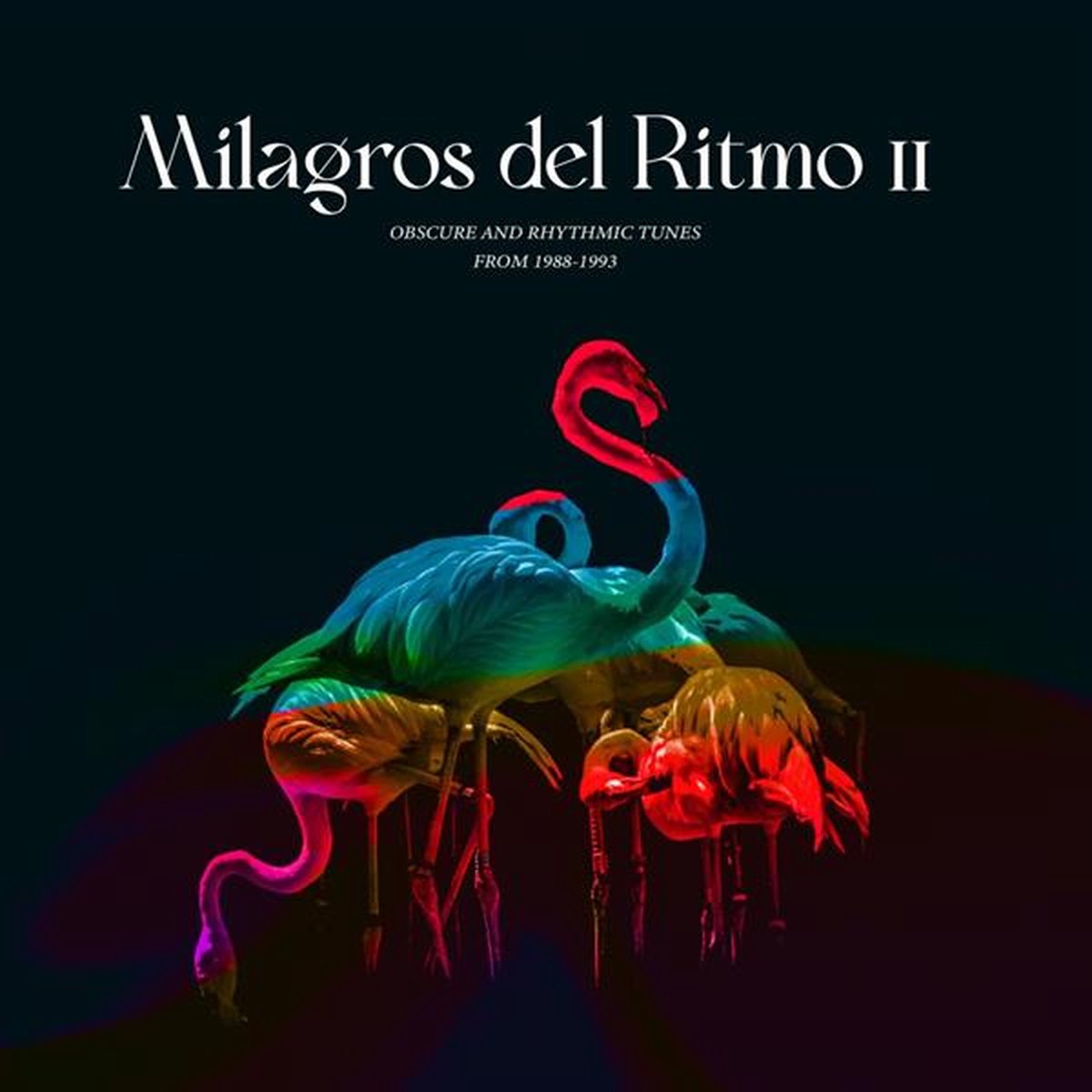 Jose Manuel Presents: Milagros Del Ritmo II