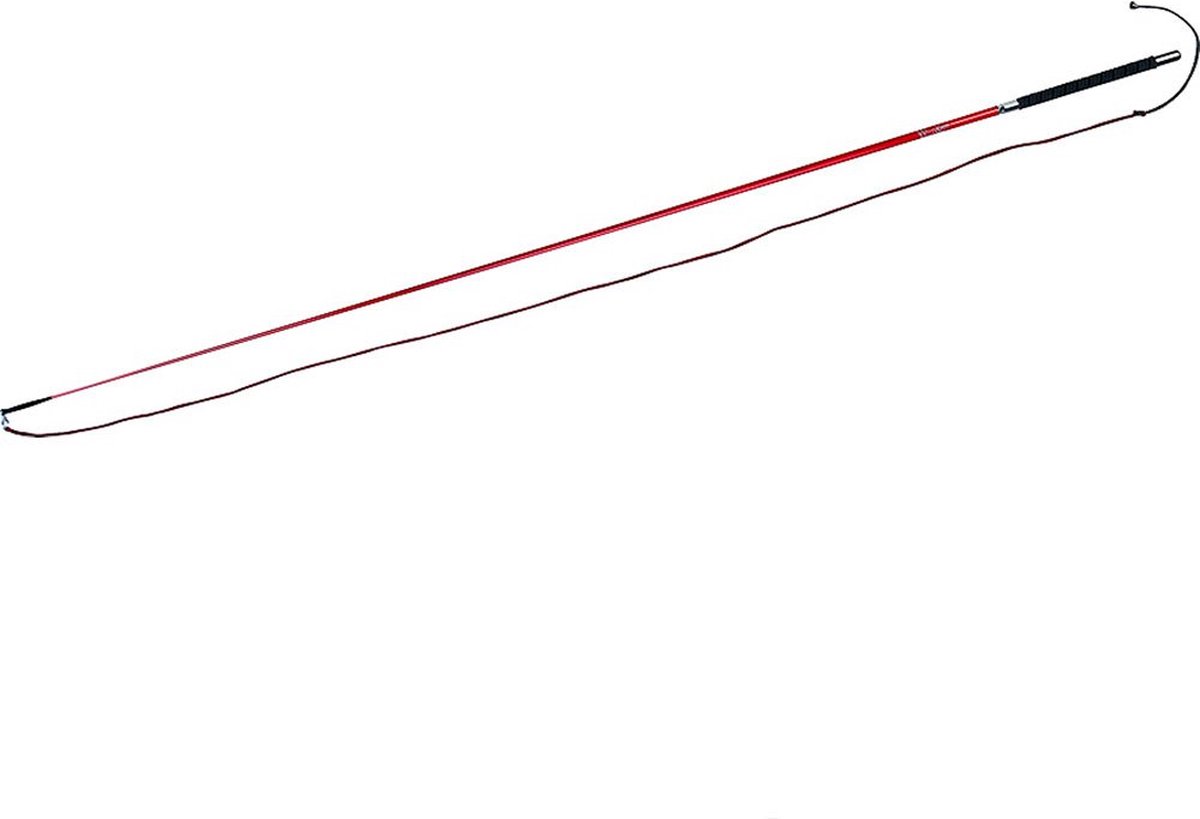 Whip&Go Carbon Zweep Red 180 cm - Whip&go